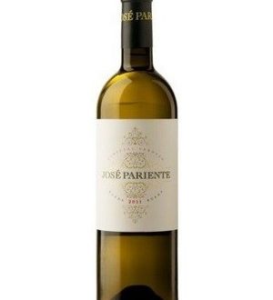 Jose Pariente Verdejo (White Wine)
