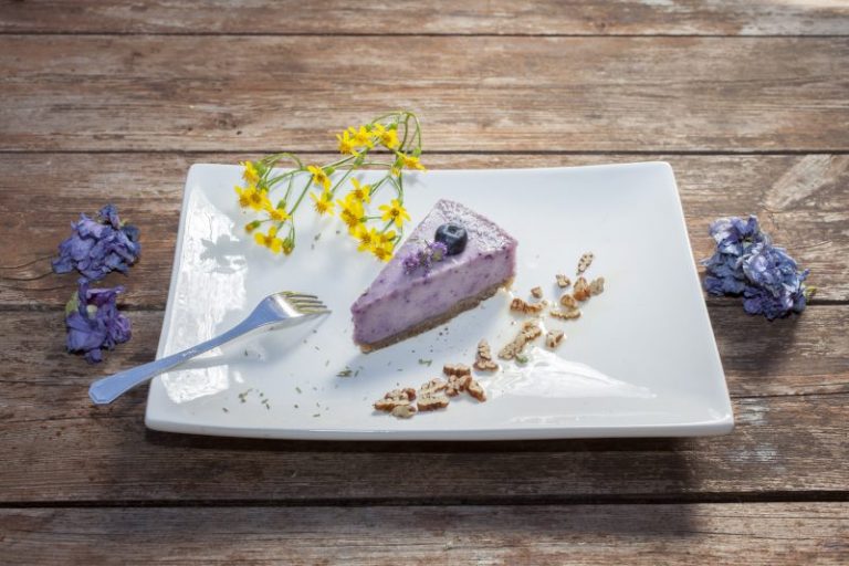 Raw Vegan Blueberry Cake