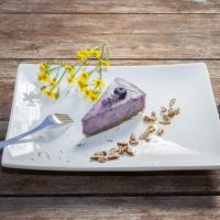 Raw Vegan Blueberry Cake
